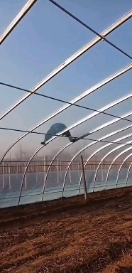 养殖大棚