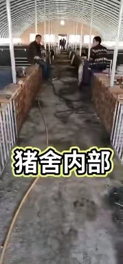 养殖大棚